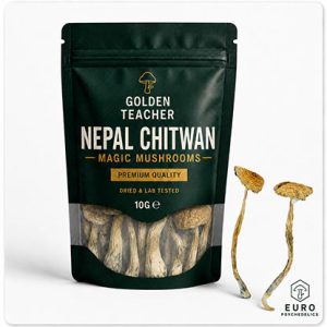 Nepal Chitwan Magic Mushrooms