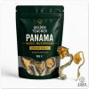 Panama Magic Mushrooms
