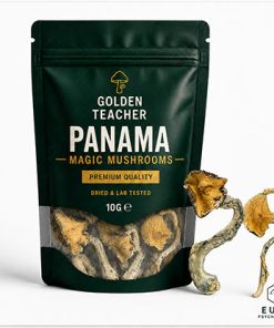 Panama Magic Mushrooms