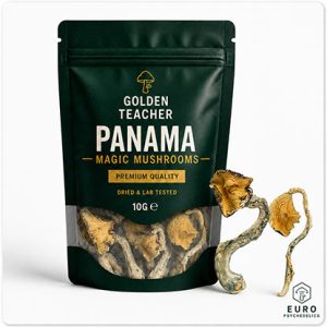 Panama Magic Mushrooms