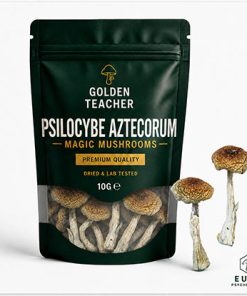 Psilocybe Aztecorum Magic Mushrooms