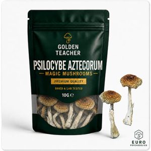 Psilocybe Aztecorum Magic Mushrooms