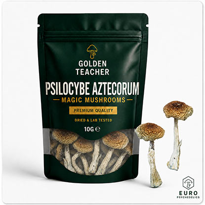 Psilocybe Aztecorum Magic Mushrooms