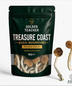 Treasure Coast Magic Mushrooms