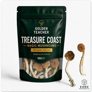 Treasure Coast Magic Mushrooms