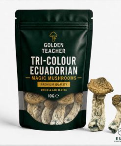 Tri-Colour Ecuadorian Magic Mushrooms