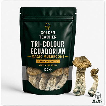 Tri-Colour Ecuadorian Magic Mushrooms