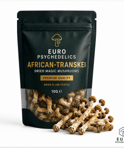 African Transkei Magic Mushrooms