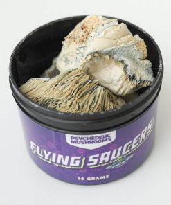 Alternative view of Flying Saucer