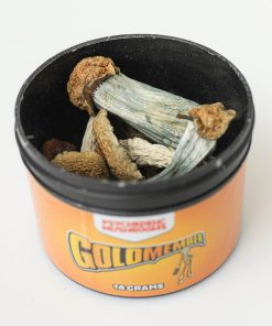 Alternative view of Goldmember Shrooms
