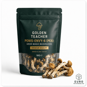 penis-envy-6-pe6-dried-magic-mushrooms